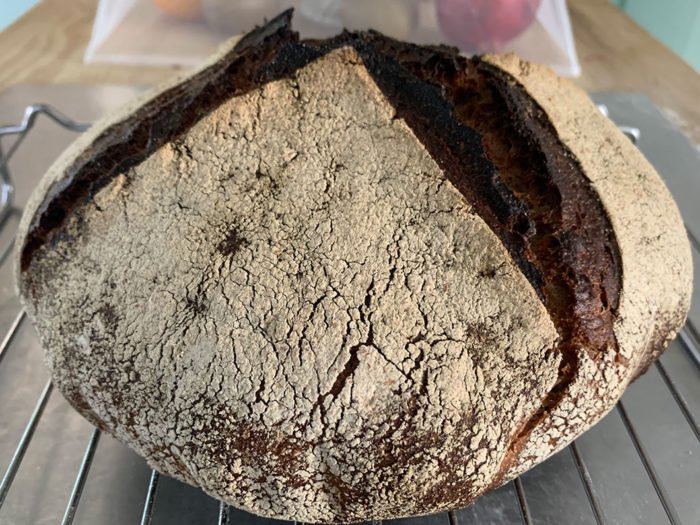 Le pain quotidien du Professeur Babine